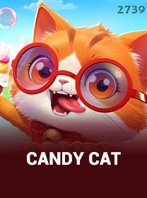 Candy Cat icon